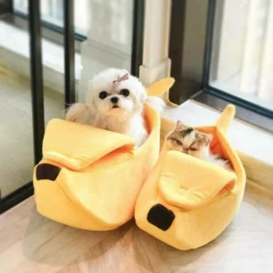 Pet Furniture